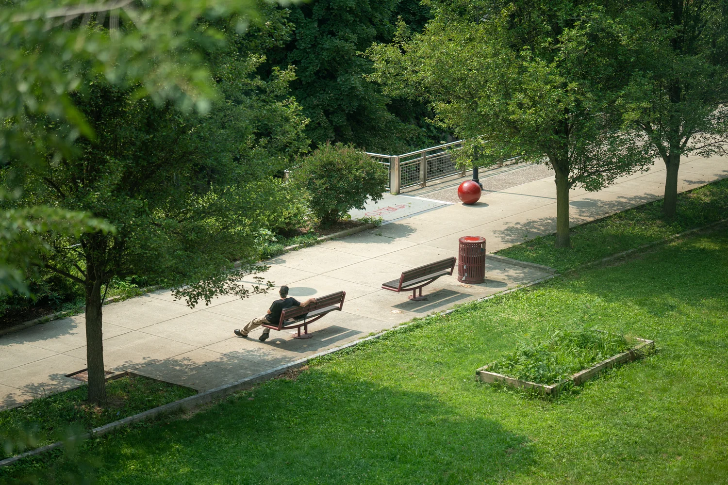 A quiet park with benches beneath green trees