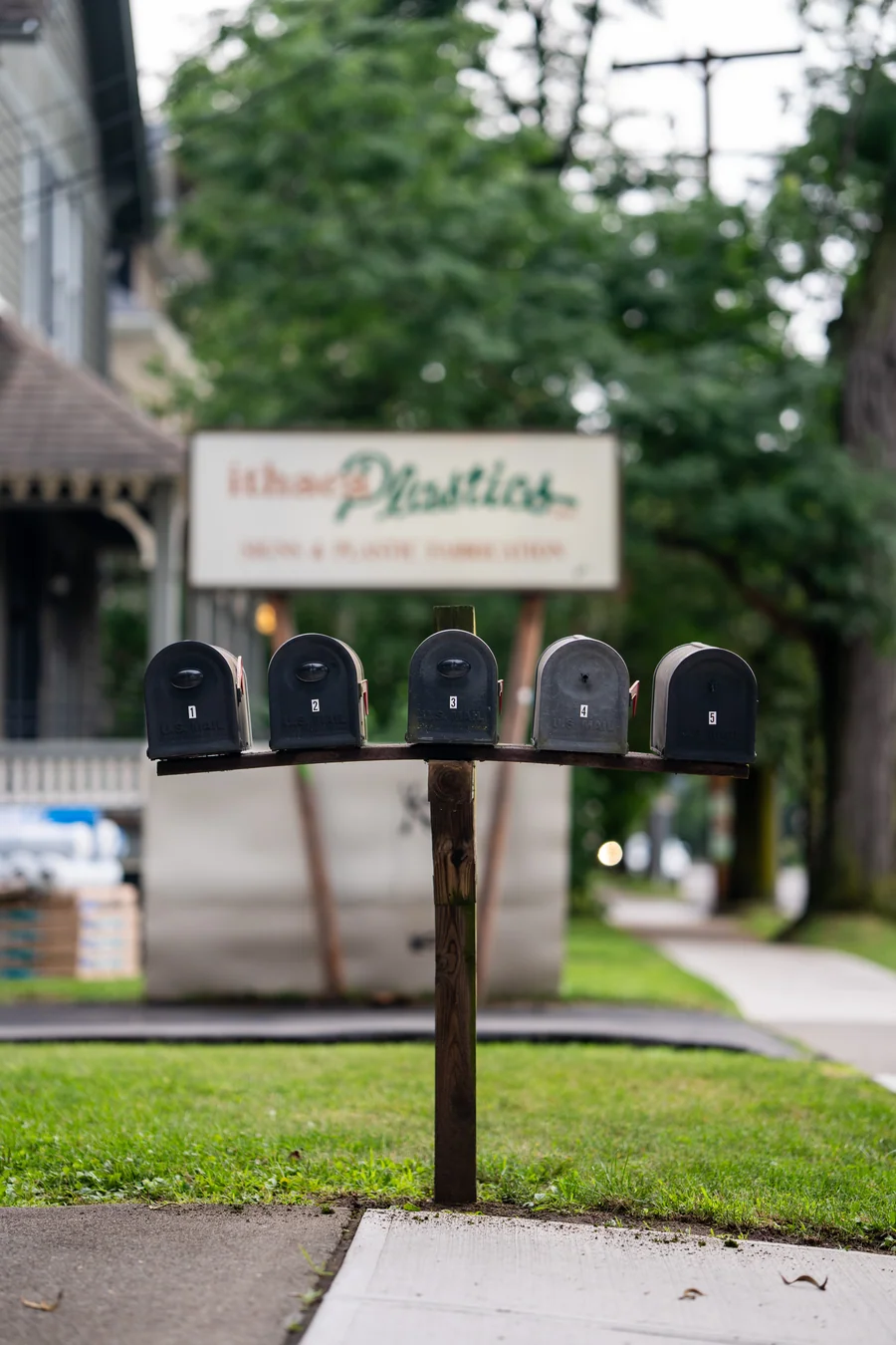 Mailboxes along a leafy neighborhood sidewalk