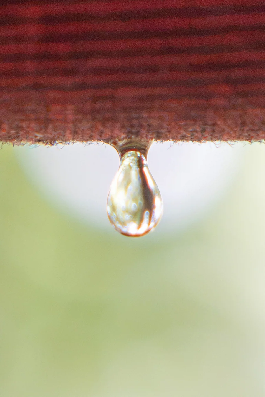 A single water droplet suspended from a red edge